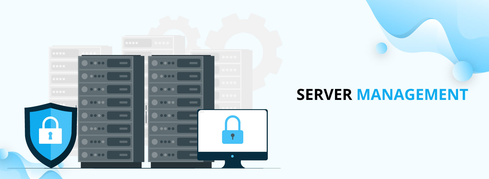 Server Management